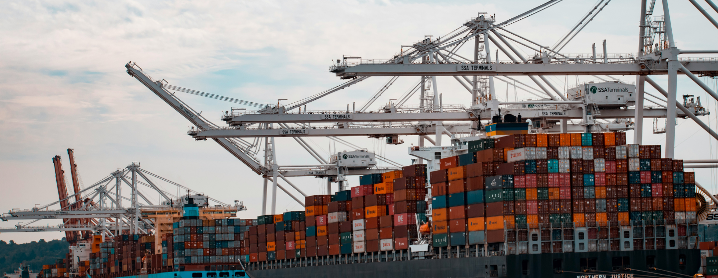 Cherry Tomatoes: Morocco Denies Any Suspension of Exports to the EU